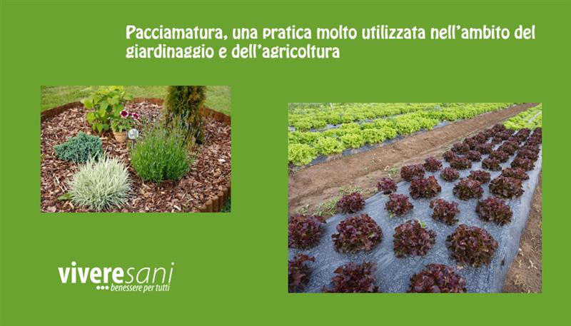 Pacciamatura Pacciamatura